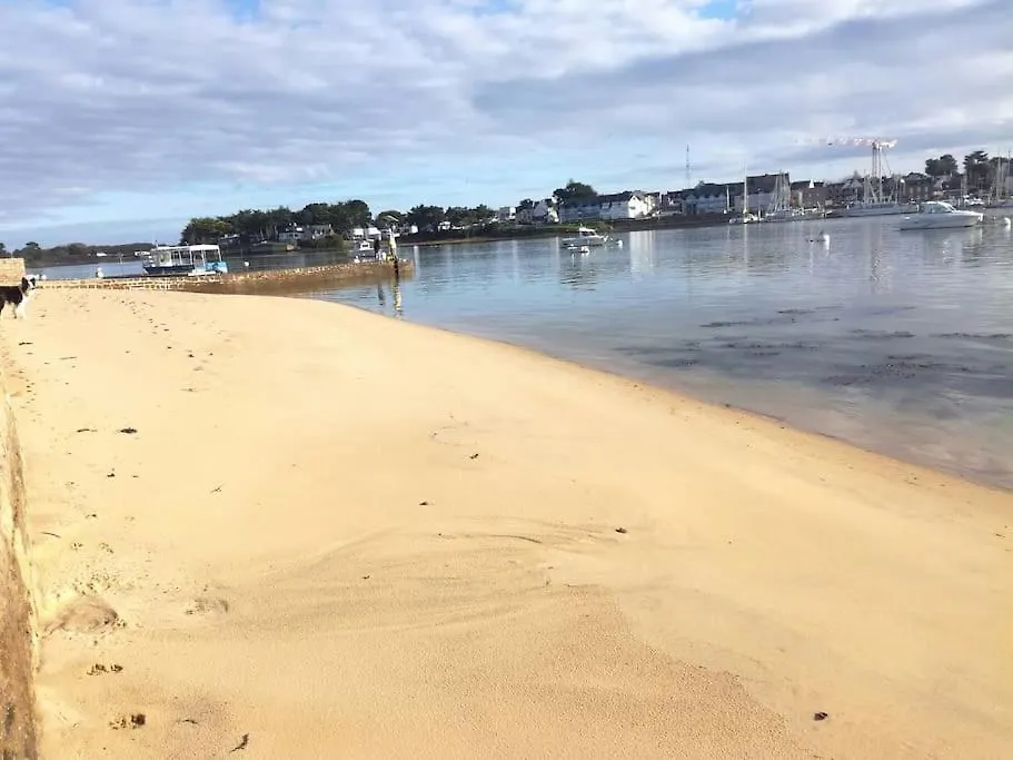 Chalet Cosy, Plages A Pieds. Morbihan. Plouhinec  Plouhinec (Morbihan)