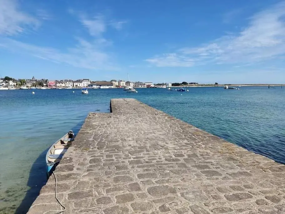 Chalet Cosy, Plages A Pieds. Morbihan. Plouhinec  0*, Plouhinec (Morbihan) France